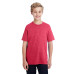 Youth 5.5 oz., 50/50 T-Shirt