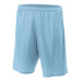 Adult Nine Inch Inseam Mesh Short