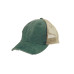 Ollie Cap