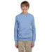 Youth 7.8 oz. ComfortBlend® EcoSmart® 50/50 Fleece Crew