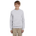 Youth 7.8 oz. ComfortBlend® EcoSmart® 50/50 Fleece Crew