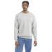 Adult 9 oz. Double Dry Eco® Crew