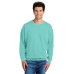 Comfort Colors Lightweight Crewneck Sweatshirt 1466