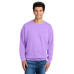 Comfort Colors Lightweight Crewneck Sweatshirt 1466