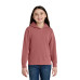 Comfort Colors Youth Lightweight Hooded Sweatshirt 1467Y