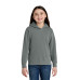 Comfort Colors Youth Lightweight Hooded Sweatshirt 1467Y
