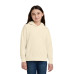 Comfort Colors Youth Lightweight Hooded Sweatshirt 1467Y