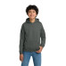 Gildan - Youth Heavy Blend Hooded Sweatshirt. 18500B