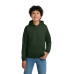 Gildan - Youth Heavy Blend Hooded Sweatshirt. 18500B