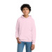 Gildan - Youth Heavy Blend Hooded Sweatshirt. 18500B