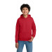 Gildan - Youth Heavy Blend Hooded Sweatshirt. 18500B