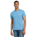 Gildan - Ultra Cotton 100% US Cotton T-Shirt.  2000