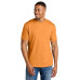 Gildan Softstyle CVC Tee 64000CVC