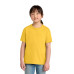 Gildan Youth Softstyle Midweight Tee 65000B