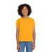 Gildan Youth DryBlend 50 Cotton/50 Poly T-Shirt.  8000B