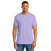 Gildan DryBlend 50 Cotton/50 Poly T-Shirt. 8000