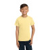 COMFORT COLORS  Youth Heavyweight Ring Spun Tee. 9018