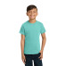 COMFORT COLORS  Youth Heavyweight Ring Spun Tee. 9018