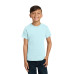 COMFORT COLORS  Youth Heavyweight Ring Spun Tee. 9018