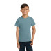 COMFORT COLORS  Youth Heavyweight Ring Spun Tee. 9018