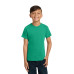 COMFORT COLORS  Youth Heavyweight Ring Spun Tee. 9018