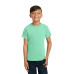 COMFORT COLORS  Youth Heavyweight Ring Spun Tee. 9018