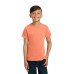 COMFORT COLORS  Youth Heavyweight Ring Spun Tee. 9018