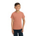 COMFORT COLORS  Youth Heavyweight Ring Spun Tee. 9018