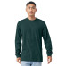 BELLA+CANVAS  Unisex Jersey Long Sleeve Tee. BC3501