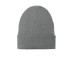 Port Authority C-FREE Recycled Beanie C880