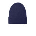 Port Authority C-FREE Recycled Beanie C880