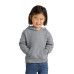 Port & Co Toddler Core Fleece Pullover Hooded Sweatshirt. CAR78TH