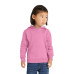 Port & Co Toddler Core Fleece Pullover Hooded Sweatshirt. CAR78TH