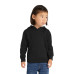 Port & Co Toddler Core Fleece Pullover Hooded Sweatshirt. CAR78TH
