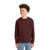 Champion Youth Jersey Long Sleeve Tee CH1751
