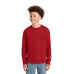 Champion Youth Jersey Long Sleeve Tee CH1751