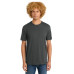 District Perfect Weight Tee. DT104