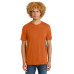 District Perfect Weight Tee. DT104