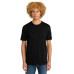 District Perfect Weight Tee. DT104