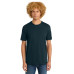 District Perfect Weight Tee. DT104