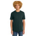 District Perfect Weight Tee. DT104