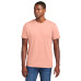 District Wash Tee DT2101