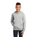 District Youth V.I.T.Fleece Hoodie DT6100Y