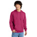 District V.I.T.Fleece Hoodie DT6100