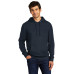 District V.I.T.Fleece Hoodie DT6100