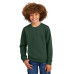 District Youth V.I.T. Fleece Crew DT6104Y