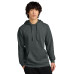 District Cloud Fleece Hoodie DT7800