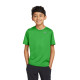 Nike Youth Team rLegend Tee DV7317