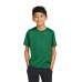 Nike Youth Team rLegend Tee DV7317