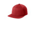 Flexfit 110 Snapback Cap FF110F